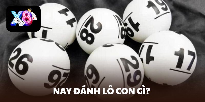 nay đánh lô con gì