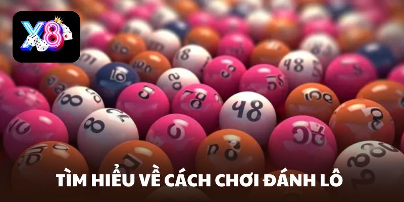 nay đánh lô con gì